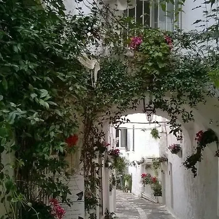 بيت للعطل Verticalia 72017 *